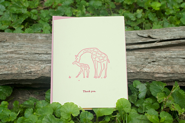 Invitations carolina thnkyou fr